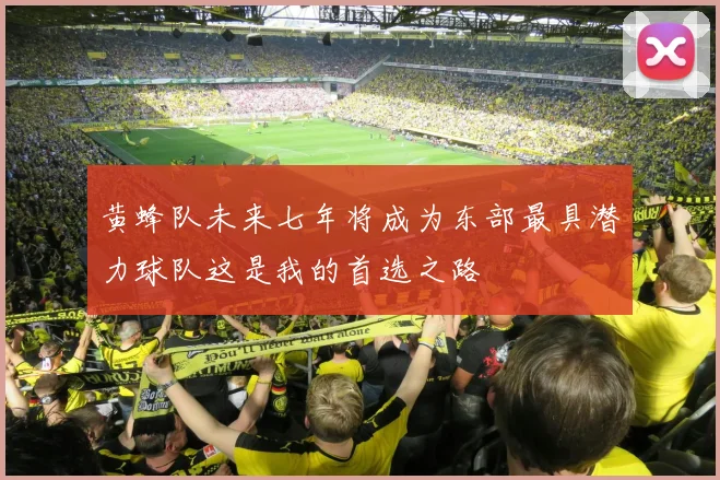 黄蜂队未来七年将成为东部最具潜力球队这是我的首选之路